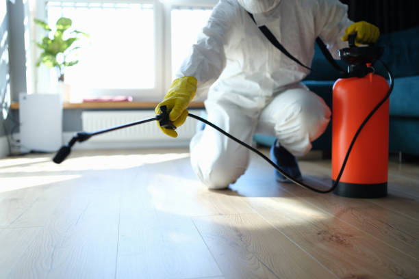 Reliable Hoarding Cleanup contractor in Summit, IL by Dulley Family Biohazard Services